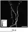 Fig. 49 - SYSTEM FOR HIGH-THROUGHPUT DATA MEASUREMENTS OF SINGLE SYNAPSES