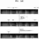 Fig. 26 - METHOD OF REMOVING TARGET SOUND FROM INPUT AUDIO AND ELECTRONIC DEVICE THEREFOR