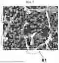 Fig. 07 - METHOD OF MANUFACTURING DRY ELECTRODE AND BATTERY MANUFACTURED THEREBY