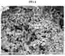 Fig. 08 - METHOD OF MANUFACTURING DRY ELECTRODE AND BATTERY MANUFACTURED THEREBY