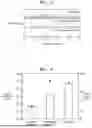 Fig. 03 - SOLID-STATE ELECTROLYTE, METHOD OF PREPARING SOLID-STATE ELECTROLYTE AND LITHIUM BATTERY INCLUDING SOLID-STATE ELECTROLYTE