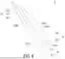 Fig. 09 - HELICAL ANTENNA