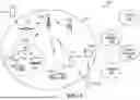 Fig. 02 - METHOD, APPARATUS AND SYSTEM FOR SCHEDULING DOWNLINK UE COOPERATION TRANSMISSION
