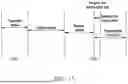 Fig. 17 - COMMUNICATION METHOD AND DEVICE FOR OPEN RADIO ACCESS NETWORK O-RAN