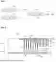 Fig. 02 - SEMICONDUCTOR DEVICE INCLUDING FERROELECTRIC CAPACITOR
