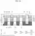 Fig. 55 - SEMICONDUCTOR DEVICE