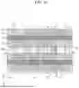 Fig. 59 - SEMICONDUCTOR DEVICE