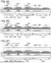 Fig. 09 - LIGHT-EMITTING DEVICE
