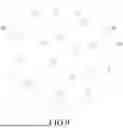 Fig. 09 - Bionic Fishing Lure