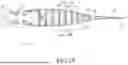 Fig. 10 - Bionic Fishing Lure