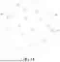 Fig. 14 - Bionic Fishing Lure