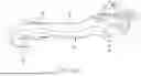 Fig. 05 - SURGICAL CUTTING GUIDES DESIGNED FOR ANATOMICAL LANDMARKS