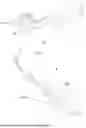 Fig. 02 - TOOTHBRUSH HEAD AND TOOTHBRUSH