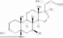 Fig. 02 - PHARMACEUTICAL COMPOSITIONS OF NOR-UDCA