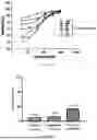 Fig. 02 - PHARMACEUTICAL COMPOSITION COMPRISING A PRMT5 INHIBITOR AND AN EGFR INHIBITOR
