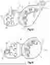 Fig. 03 - BENDABLE TITANIUM-ALLOY IMPLANTS, AND RELATED SYSTEMS AND METHODS