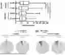 Fig. 01 - COMPOSITE MATRIX USEFUL FOR PROMOTING INNERVATION, OSTEOGENESIS AND ANGIOGENESIS