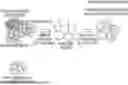 Fig. 01 - GAS DECOMPOSITION CATALYST AND METHOD AND SCRUBBER SYSTEM FOR DECOMPOSING NITROUS OXIDE (N2O) GAS BY USING THE SAME