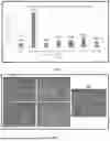 Fig. 03 - MULTILAYER FILM AND METHOD OF PREPARATION THEREOF