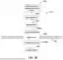 Fig. 35 - SYSTEMS AND METHODS WITH ENHANCED PREDICTIVE RAILROAD CROSSING TRAFFIC NOTIFICATION AND RAILROAD WORKER SAFETY NOTIFICATION