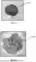 Fig. 07 - CHROMIUM OXIDE REFRACTORY OBJECT AND METHODS OF FORMING THEREOF