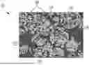 Fig. 01 - CERAMIC ARTICLES MADE FROM CERAMIC BEADS WITH OPEN POROSITY