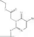 Fig. 1007 - PHARMACEUTICAL COMPOUNDS FOR THE TREATMENT OF COMPLEMENT MEDIATED DISORDERS