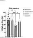 Fig. 04 - NERVE GROWTH FACTOR AND METHODS OF USE THEREOF FOR NEURODEVELOPMENTAL DISABILITIES ASSOCIATED WITH NEONATAL HYPOXIC-ISCHEMIC ENCEPHALOPATHY