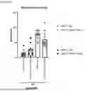 Fig. 10 - NERVE GROWTH FACTOR AND METHODS OF USE THEREOF FOR NEURODEVELOPMENTAL DISABILITIES ASSOCIATED WITH NEONATAL HYPOXIC-ISCHEMIC ENCEPHALOPATHY
