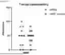 Fig. 12 - NERVE GROWTH FACTOR AND METHODS OF USE THEREOF FOR NEURODEVELOPMENTAL DISABILITIES ASSOCIATED WITH NEONATAL HYPOXIC-ISCHEMIC ENCEPHALOPATHY