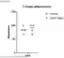 Fig. 13 - NERVE GROWTH FACTOR AND METHODS OF USE THEREOF FOR NEURODEVELOPMENTAL DISABILITIES ASSOCIATED WITH NEONATAL HYPOXIC-ISCHEMIC ENCEPHALOPATHY