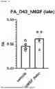 Fig. 17 - NERVE GROWTH FACTOR AND METHODS OF USE THEREOF FOR NEURODEVELOPMENTAL DISABILITIES ASSOCIATED WITH NEONATAL HYPOXIC-ISCHEMIC ENCEPHALOPATHY