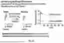 Fig. 49 - ACTIVATABLE INTERLEUKIN-2 POLYPEPTIDES AND METHODS OF USE THEREOF