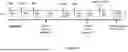 Fig. 02 - VHH ANTIBODIES AND USES THEREOF