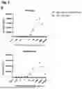 Fig. 06 - BINDING AGENTS BINDING TO EPCAM AND CD137
