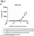 Fig. 07 - BINDING AGENTS BINDING TO EPCAM AND CD137