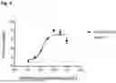 Fig. 10 - BINDING AGENTS BINDING TO EPCAM AND CD137