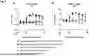 Fig. 16 - BINDING AGENTS BINDING TO EPCAM AND CD137