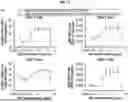 Fig. 21 - BINDING AGENTS BINDING TO EPCAM AND CD137