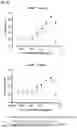 Fig. 23 - BINDING AGENTS BINDING TO EPCAM AND CD137