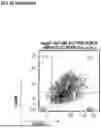 Fig. 28 - BINDING AGENTS BINDING TO EPCAM AND CD137