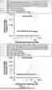 Fig. 33 - BINDING AGENTS BINDING TO EPCAM AND CD137