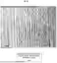 Fig. 06 - RELEASE AGENT AND CORROSION INHIBITOR FORMULATION AND METHOD OF USE