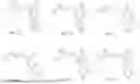Fig. 02 - 5'-CAP MODIFICATIONS OF RNA