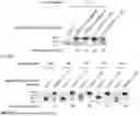 Fig. 07 - 5'-CAP MODIFICATIONS OF RNA