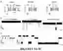 Fig. 06 - MSP NANOPORES AND RELATED METHODS
