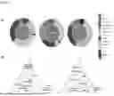 Fig. 03 - BIOMARKER FOR PREDICTING IMMUNOTHERAPEUTIC RESPONSIVENESS BASED ON SPATIAL TRANSCRIPTOME ANALYSIS AND USES THEREOF
