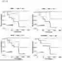 Fig. 08 - BIOMARKER FOR PREDICTING IMMUNOTHERAPEUTIC RESPONSIVENESS BASED ON SPATIAL TRANSCRIPTOME ANALYSIS AND USES THEREOF
