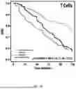 Fig. 12 - USE OF IMMUNE CELL-SPECIFIC GENE EXPRESSION FOR PROGNOSIS OF PROSTATE CANCER AND PREDICTION OF RESPONSIVENESS TO RADIATION THERAPY