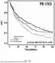 Fig. 17 - USE OF IMMUNE CELL-SPECIFIC GENE EXPRESSION FOR PROGNOSIS OF PROSTATE CANCER AND PREDICTION OF RESPONSIVENESS TO RADIATION THERAPY